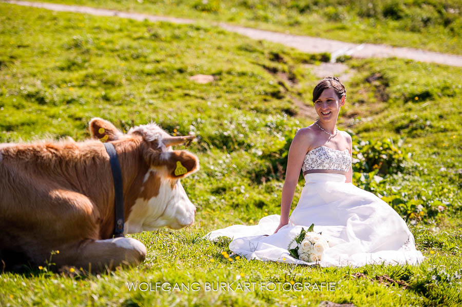 Hochzeit Fotograf Chiemgau, Brautfoto mit Kuh auf der Almwiese