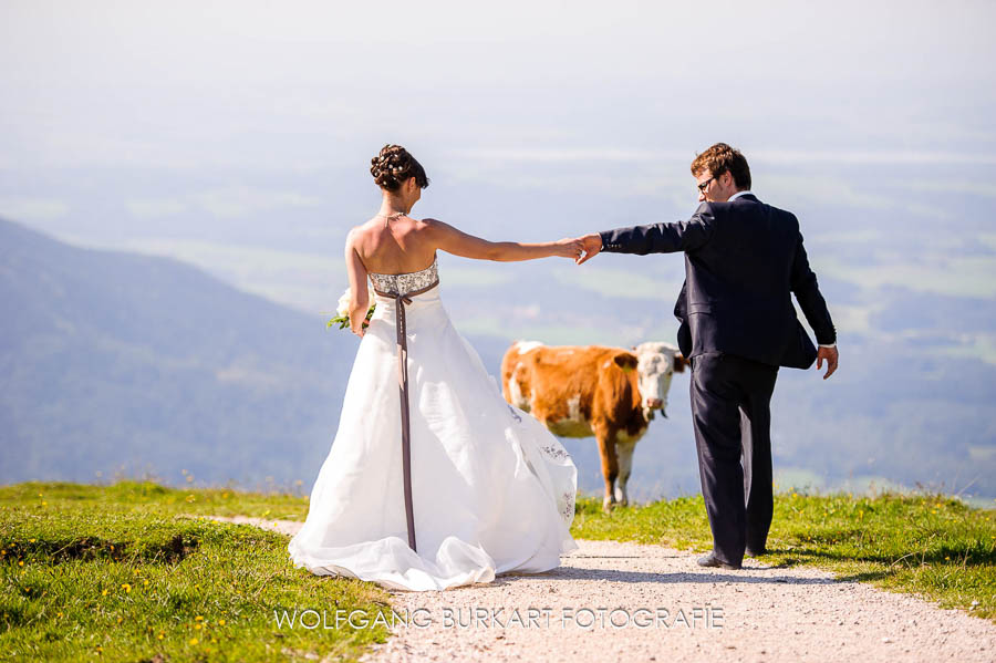 Hochzeit Fotograf Chiemgau, Hochzeitsfoto mit Kuh